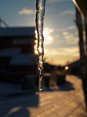 Image showing Icecicle