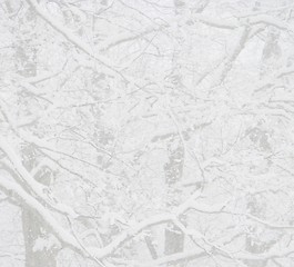 Image showing winter snow background