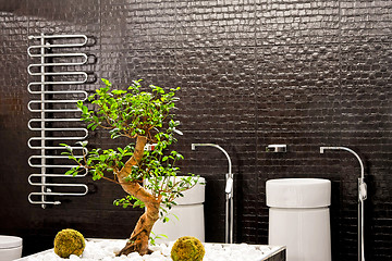 Image showing Bonsai bathroom