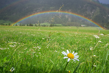 Image showing Rainbow