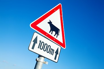 Image showing Cow sign