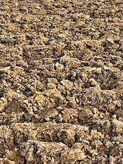 Image showing Soil background