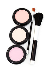 Image showing powder compact