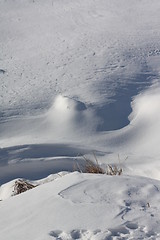 Image showing Nature of winter