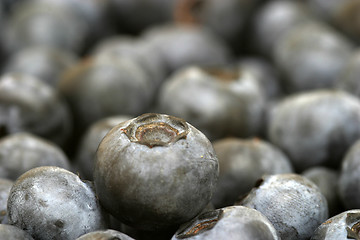 Image showing Blueberries