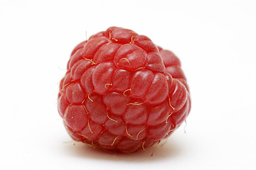 Image showing Raspberry