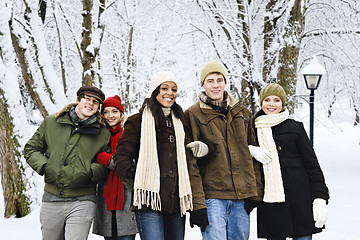 Image showing Group of friends outside in winter