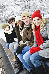 Image showing Group of friends outside in winter