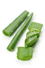 Image showing Aloe vera plant pieces