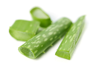 Image showing Aloe vera plant pieces