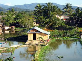 Image showing Rice fields and handmade houses. Luang Nam Tha. Laos