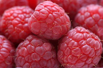 Image showing Raspberries Close Up