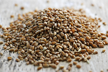 Image showing Whole grain wheat kernels closeup