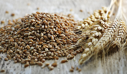 Image showing Whole grain wheat kernels closeup