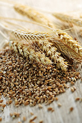 Image showing Whole grain wheat kernels closeup