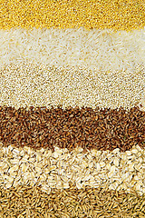 Image showing Various grains close up