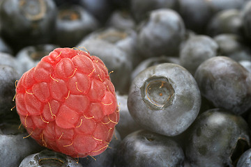 Image showing Raspberry and Blueberries