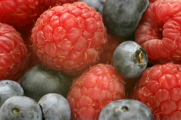 Image showing Mixed Fruit