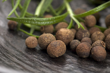 Image showing allspice with fresh rosemary