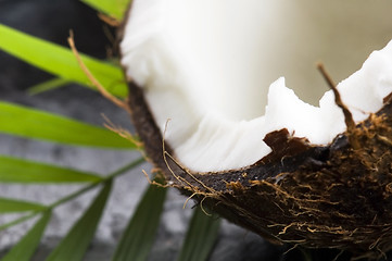 Image showing open coconut