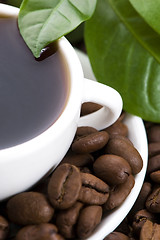 Image showing fresh coffee with coffee branch