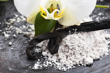 Image showing vanilla beans with aromatic sugar, milk and flower 