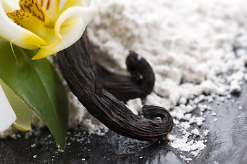 Image showing vanilla beans with aromatic sugar and flower