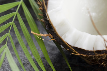 Image showing open coconut