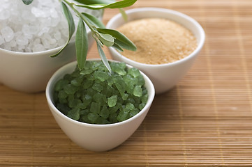 Image showing fresh olive branch and bath salt. spa