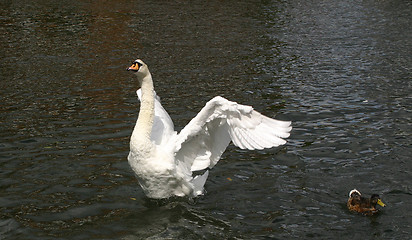 Image showing take-off