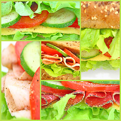 Image showing Collage of many different fresh sandwichs