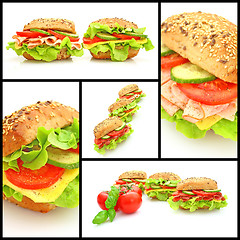 Image showing Collage of many different fresh sandwichs