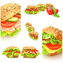 Image showing Collage of many different fresh sandwichs