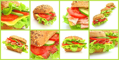 Image showing Collage of many different fresh sandwichs