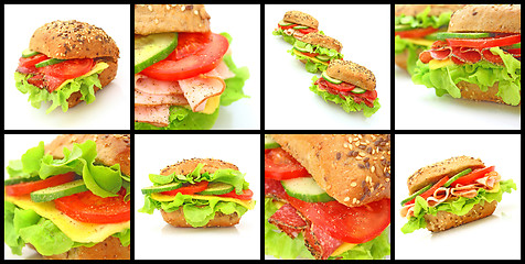 Image showing Collage of many different fresh sandwichs