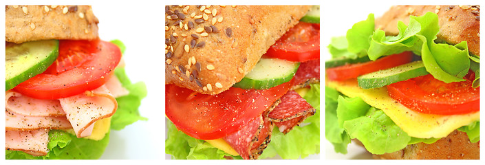 Image showing Collage of many different fresh sandwichs