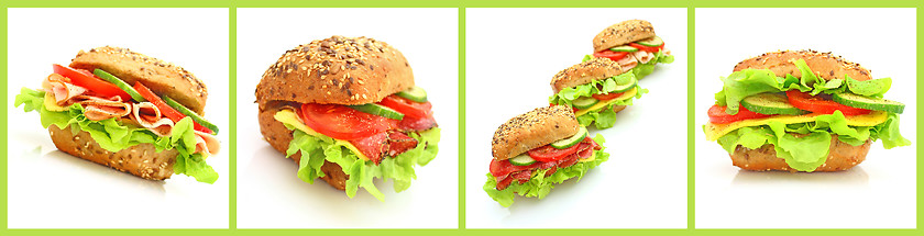 Image showing Collage of many different fresh sandwichs