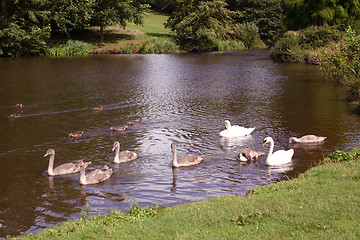 Image showing familly