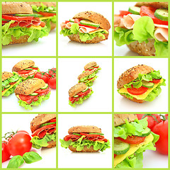 Image showing Collage of many different fresh sandwichs