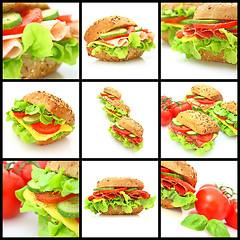 Image showing Collage of many different fresh sandwichs