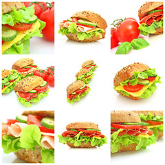 Image showing Collage of many different fresh sandwichs