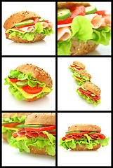 Image showing Collage of many different fresh sandwichs