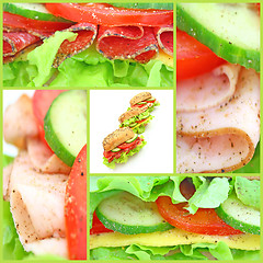 Image showing Collage of many different fresh sandwichs