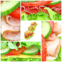 Image showing Collage of many different fresh sandwichs