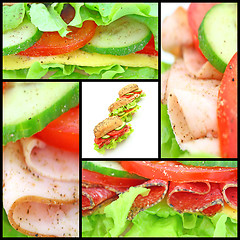 Image showing Collage of many different fresh sandwichs