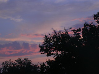 Image showing Pink sunrise