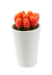 Image showing Glass with tulip in the manner of candles