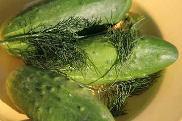 Image showing cucumber