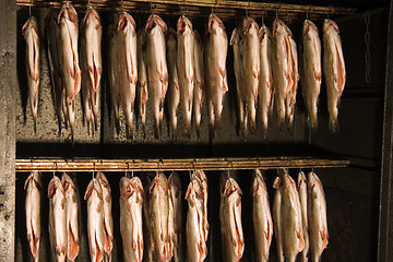 Image showing smoked trout