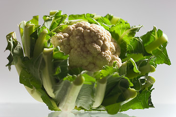 Image showing cauliflower